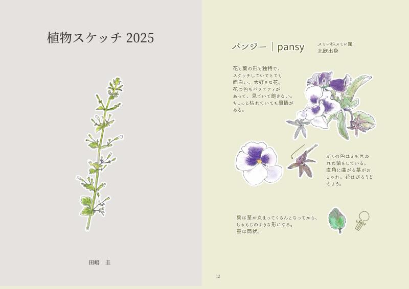 植物スケッチ 表紙