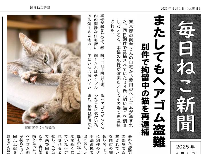 毎日ねこ新聞